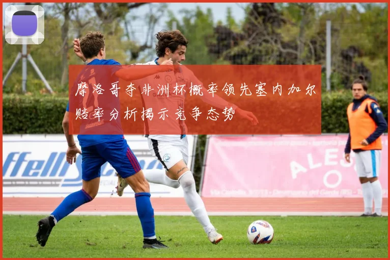 摩洛哥夺非洲杯概率领先塞内加尔赔率分析揭示竞争态势