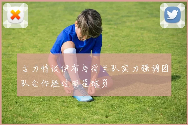 古力特谈伊布与荷兰队实力强调团队合作胜过明星球员